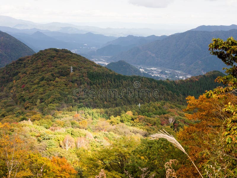 Autumn Colors In Nikko, Japan Stockbild - Bild von oktober, farben