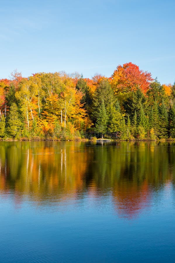 Autumn Colors In Quebec, Canada Stock Photo - Image of color, forest