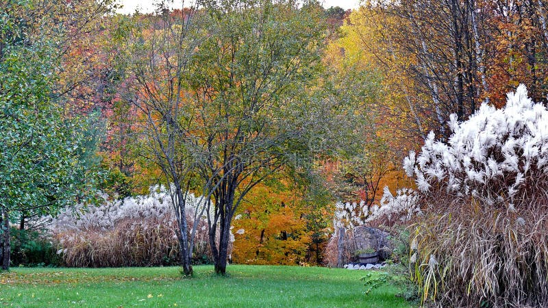 Autumn Colors In Quebec, North America Stock Photo - Image of automne