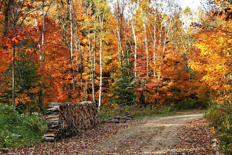 Autumn Colors In Quebec, North America Stock Image - Image of ontario