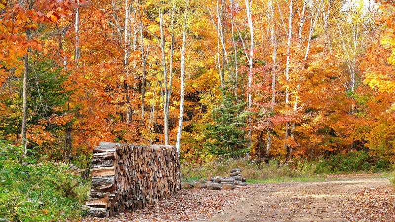 Autumn Colors In Quebec, North America Stock Photo - Image of september