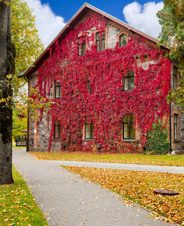 Autumn colors in Sigulda, Latvia