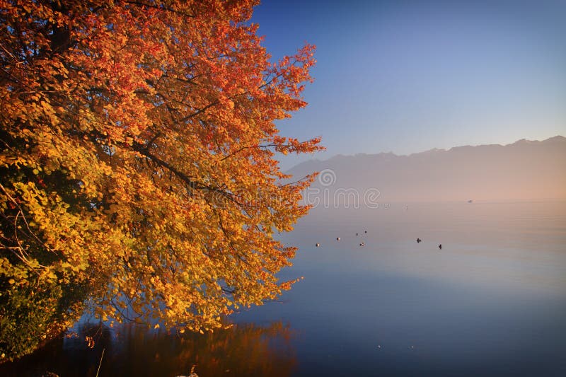 Autumn colors stock photo Autumn colors stock photo