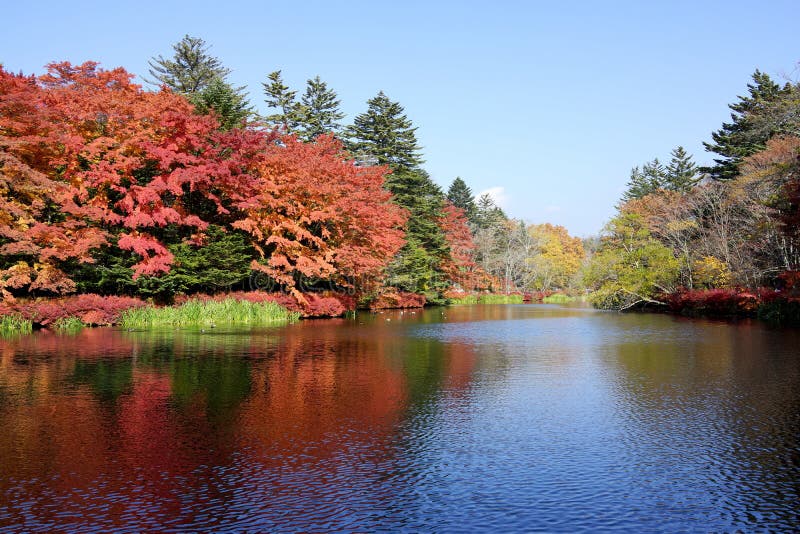 Autumn colour of pond