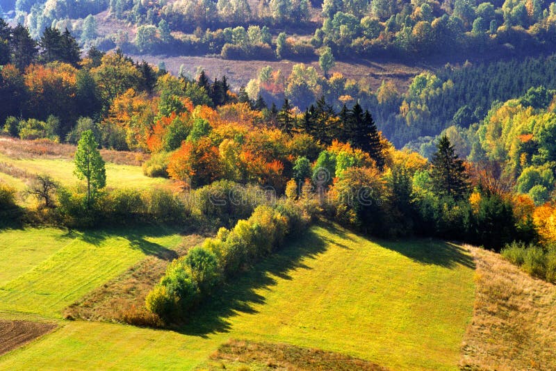 Autumn coloured country near Stara Huta