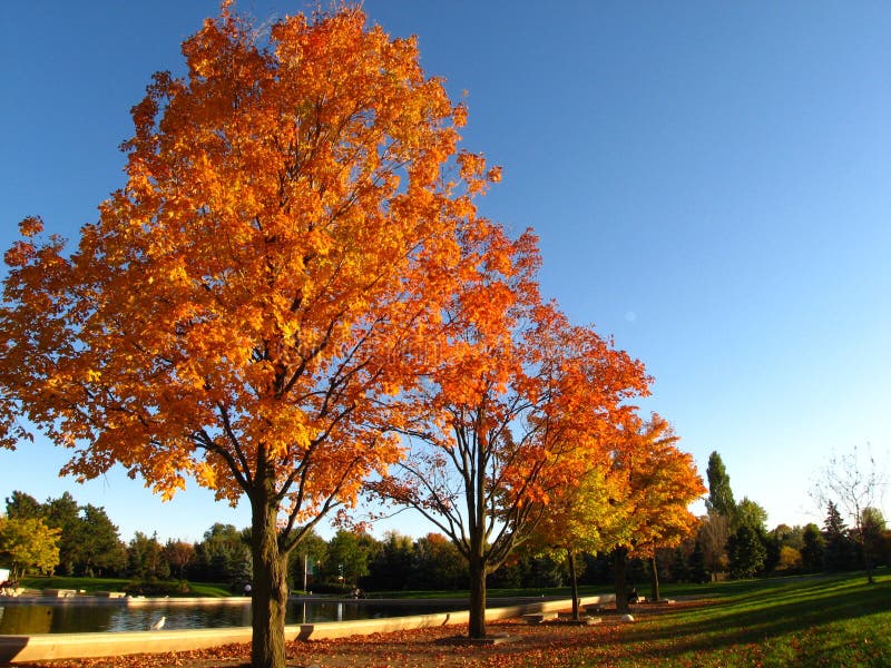 Autumn colours