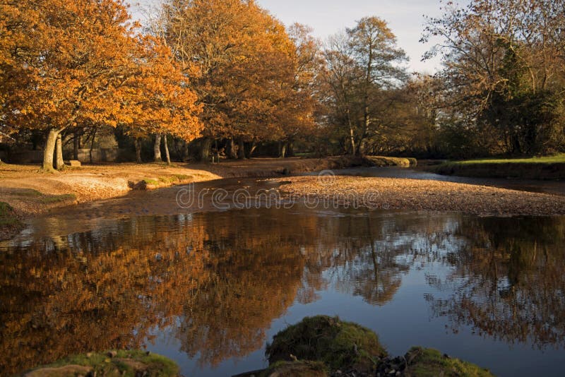 Autumn Colours Brockenhurst royalty free stock photo Autumn Colours Brockenhurst royalty free stock photo