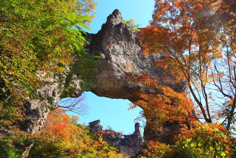 Autumn colours of crag