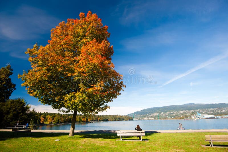 Autumn Colours - Stanley Park, Vancouver