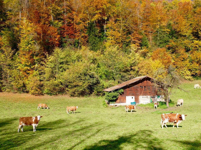 Autumn colours in Switzerland