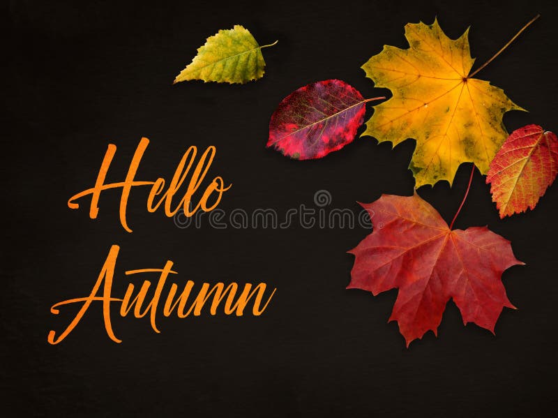 Autumn composition. Concept Hello fall. Creative Top view Flat lay royalty free stock image