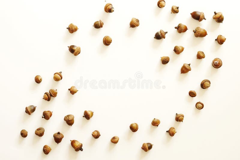 Autumn composition. Frame of acorns royalty free stock photo Autumn composition. Frame of acorns royalty free stock photo