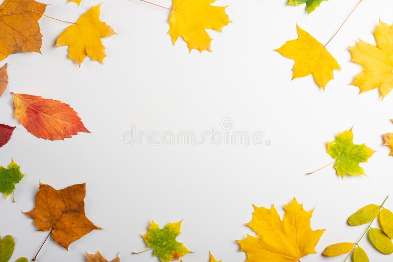 Autumn composition. Frame made of autumn dried leaves on white background. Flat lay, top view, copy space