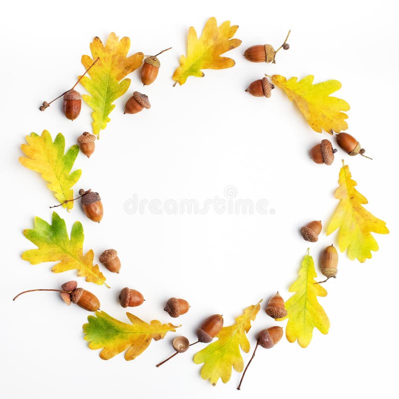 Autumn composition. Frame made of autumn leaves and pine cones on white background. Flat lay, top view, copy space