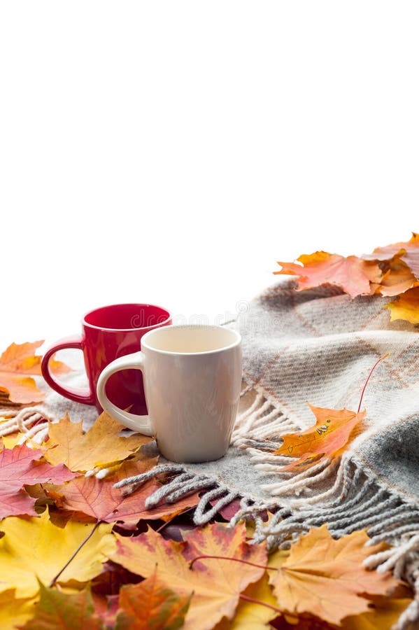 Hot coffee on wool plaid with autumn leaves, seasonal relax concept royalty free stock photos Hot coffee on wool plaid with autumn leaves, seasonal relax concept royalty free stock photos