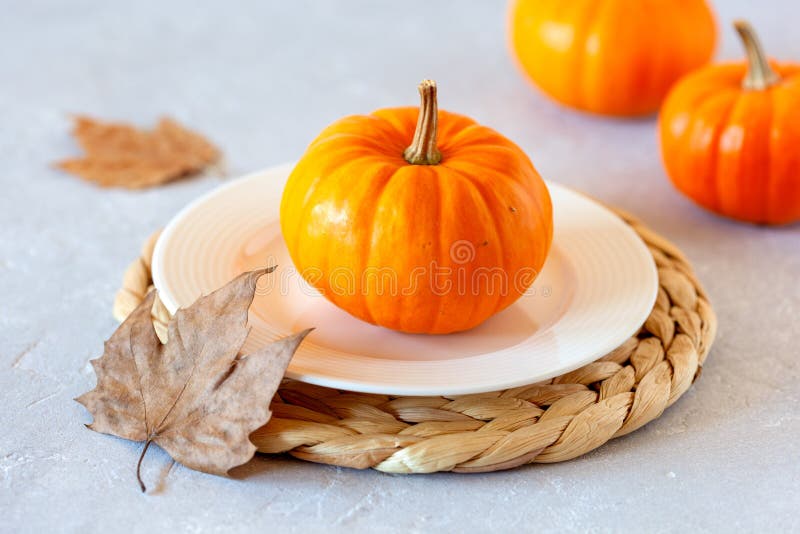361 Mini Jack Pumpkins Stock Photos Free & RoyaltyFree Stock Photos