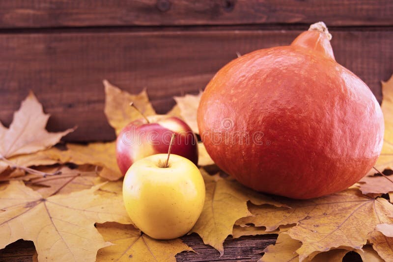 Autumn composition with pumpkin, yellow maple leaves and apple o stock photos Autumn composition with pumpkin, yellow maple leaves and apple o stock photos