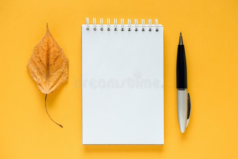 Sổ tay trắng và lá khô cam - một sự pha trộn đầy tinh tế và ấn tượng. Với màu cam tươi sáng và một sổ tay trắng trống, bạn có thể tạo ra những bản vẽ, ghi chép tuyệt vời nhất. Hãy nhấn vào hình ảnh liên quan và bắt đầu sáng tạo ngay hôm nay!
