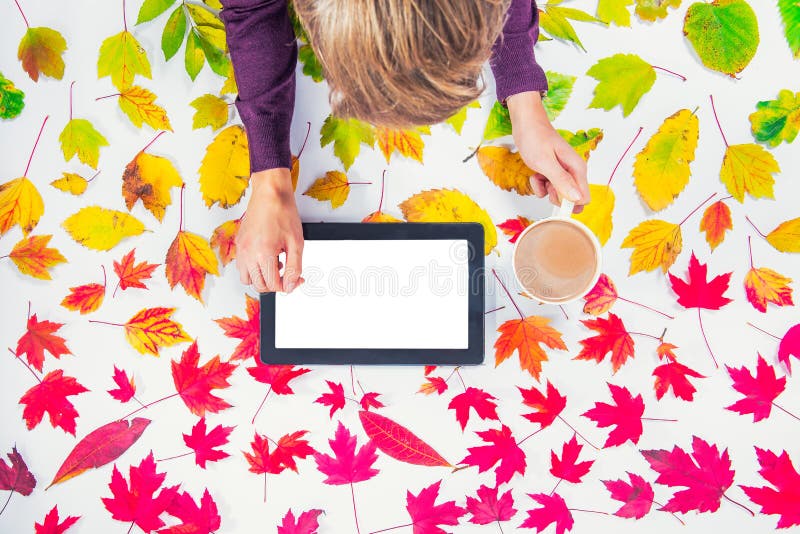 Autumn composition: workspace with hands on digitall tablet with blank screen and cup of coffee on fallen leaves gradient colorful stock photos