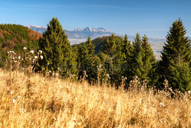 Jesenná krajina a les. Vysoké Tatry na pozadí. Slovensko