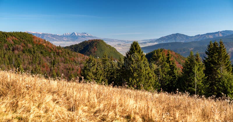 Podzimní země a les. Vysoké Tatry na pozadí. Slovensko