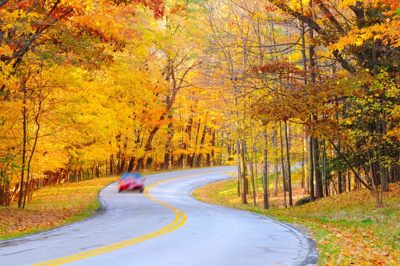 Autumn curve with car