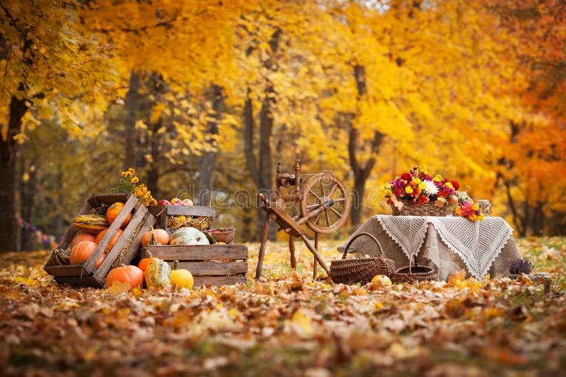 Autumn Decor In The Garden. Pumpkins Lying In Wooden Box On Autumn ...