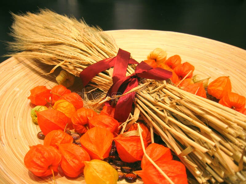 Autumn decoration 3 royalty free stock image Autumn decoration 3 royalty free stock image
