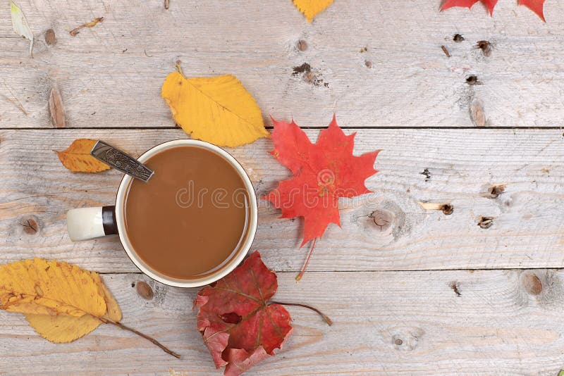 https://thumbs.dreamstime.com/b/autumn-drink-seasonal-composition-hot-coffee-cinnamon-iron-mugs-wooden-background-copy-space-happy-thanksgiving-autumn-199059875.jpg