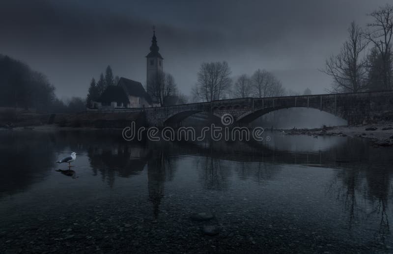 Autumn Dusk Foggy Landscape With Old Stone Bridge, Gothic Church of St. John the Baptist And Lonely Seagull. Lake Bohinj, National