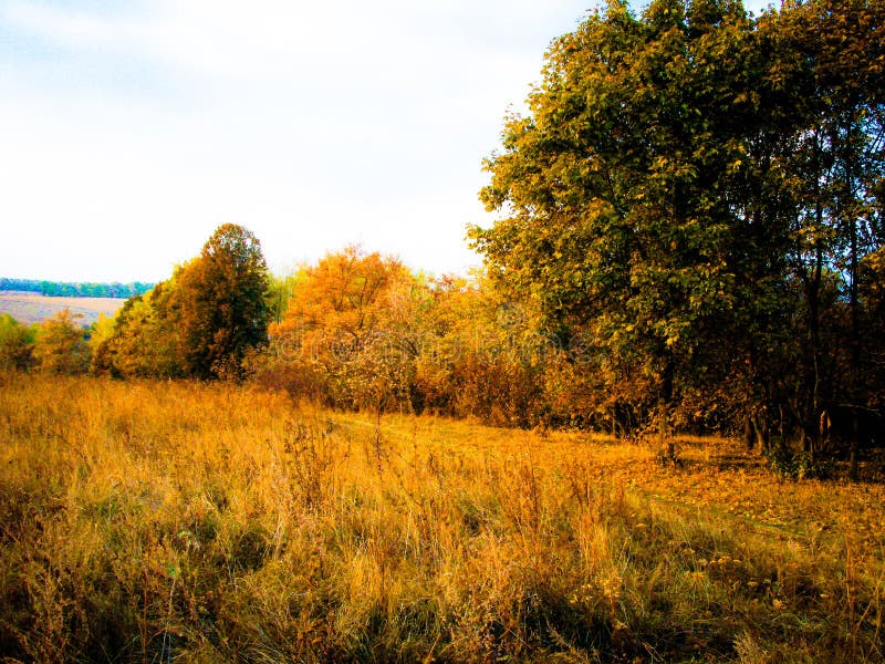 Autumn evening forest landscape. Autumn sunny evening, autumn forest glade on the hillside and deciduous forest on the hill stock photos Autumn evening forest landscape. Autumn sunny evening, autumn forest glade on the hillside and deciduous forest on the hill stock photos