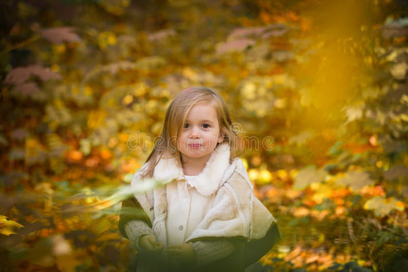 Little Girl in Autumnal Forest Stock Image - Image of daylight, lovely ...