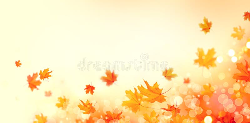 Autumn. Fall abstract background with colorful leaves and sun flares