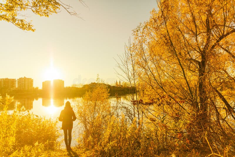 Autumn fall colors, yellow tree leaves girl walking in city park. Nature lifestyle