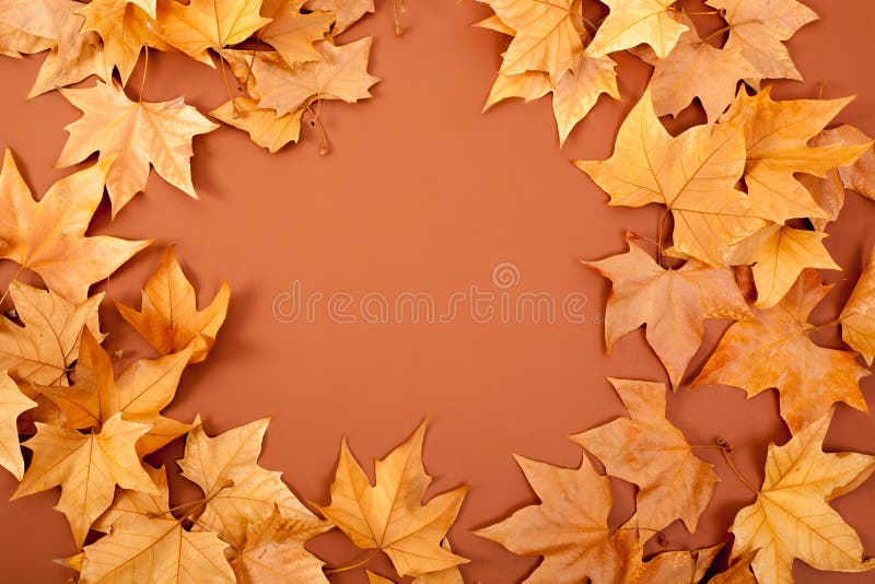 Autumn fall dried leaves border fame on brown background copyspace. Autumn fall dried leaves border fame on brown background copyspace