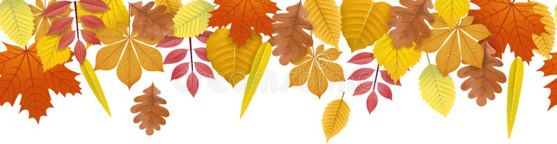 Autumn Fall Leaves Banner Background Seamless Stock Photo - Image of plant,  design: 156147608