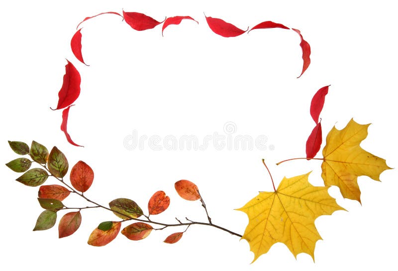 Autumn fall leaves frame