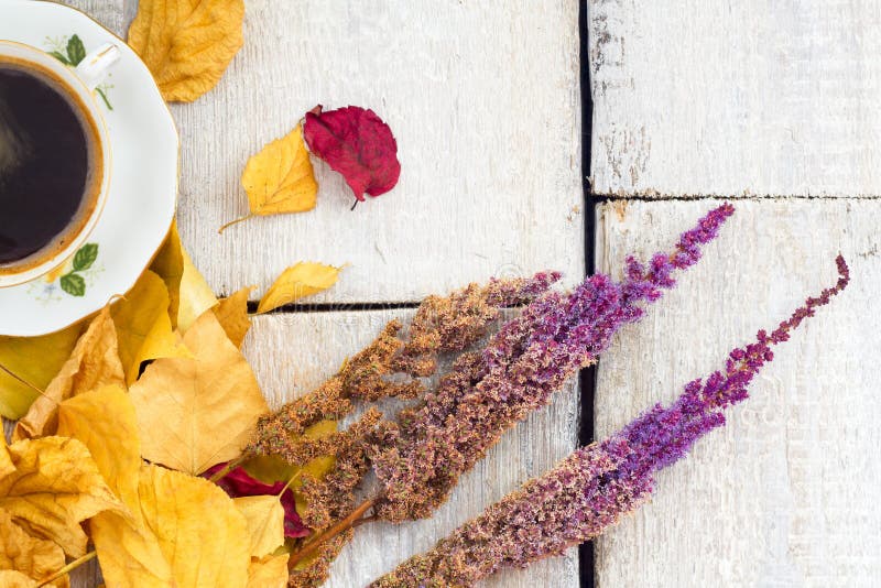 Autumn, fall leaves, hot steaming cup of coffee and flowers on wooden table background. Seasonal, morning coffee, sunday relax and royalty free stock images Autumn, fall leaves, hot steaming cup of coffee and flowers on wooden table background. Seasonal, morning coffee, sunday relax and royalty free stock images