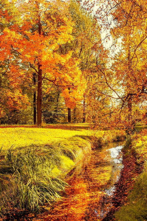 Autumn. Fall Scene. Countryside Landscape with Red and Yellow Ma Stock ...
