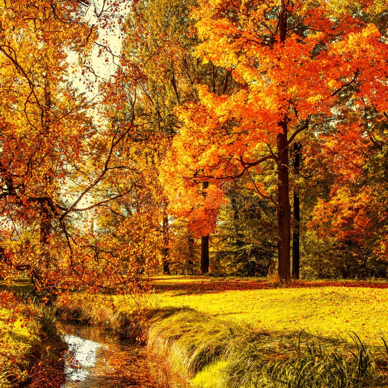 Autumn. Fall Scene. Countryside Landscape with Red and Yellow Maple ...