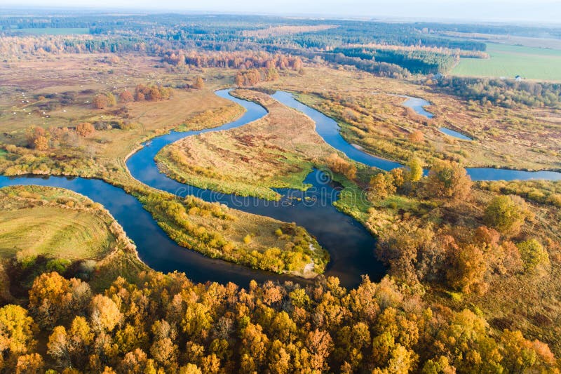 Autumn. Fall scenery. Autumn scene. Aerial drone landscape. Meadow with river and trees