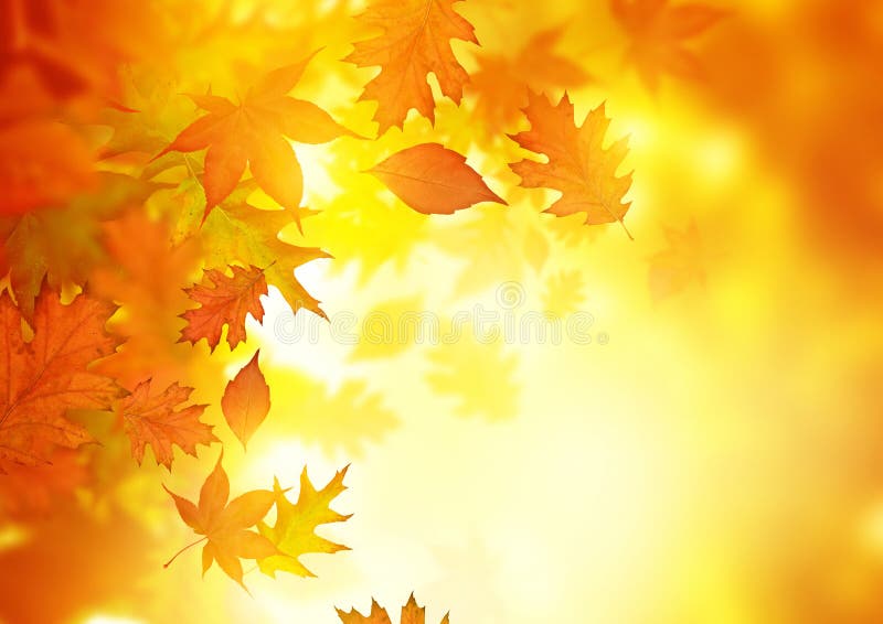 Autumn Falling Leaves immagine stock libera da diritti Autumn Falling Leaves immagine stock libera da diritti