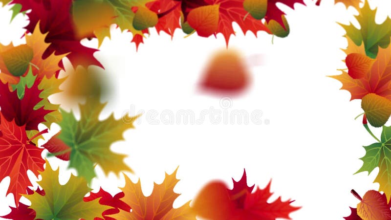 Autumn falling leaves with white background placeholder animation video