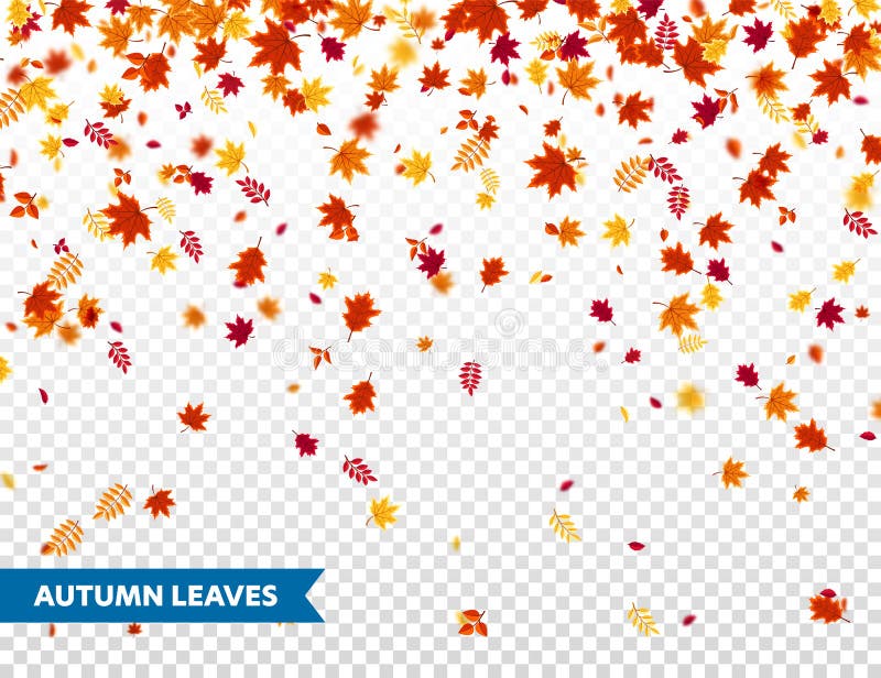 Autumn Falling Leaves. Nature Background With Red, Orange, Yellow ...