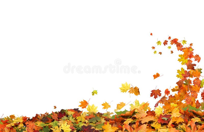 Autumn falling leaves