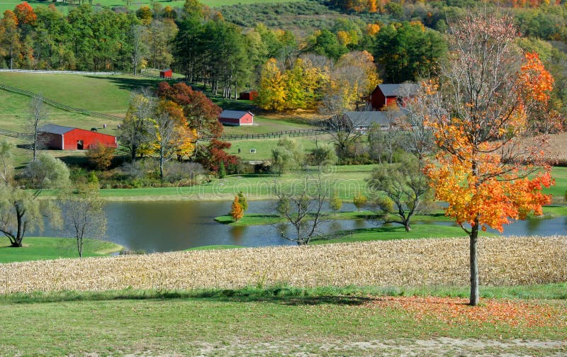 Autumn Farm Scene