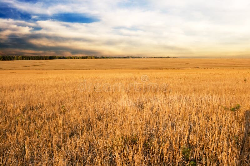 Autumn field and sunset