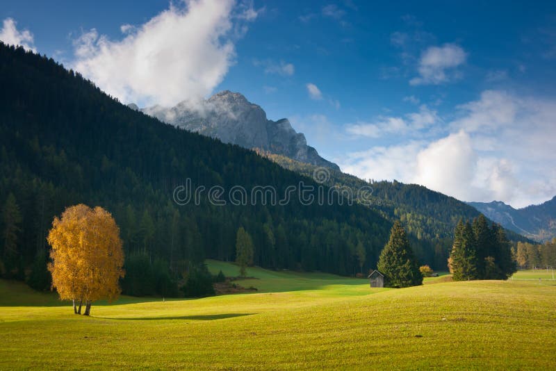 Autumn fields in Braies, Trentino Alto Adige, Italy