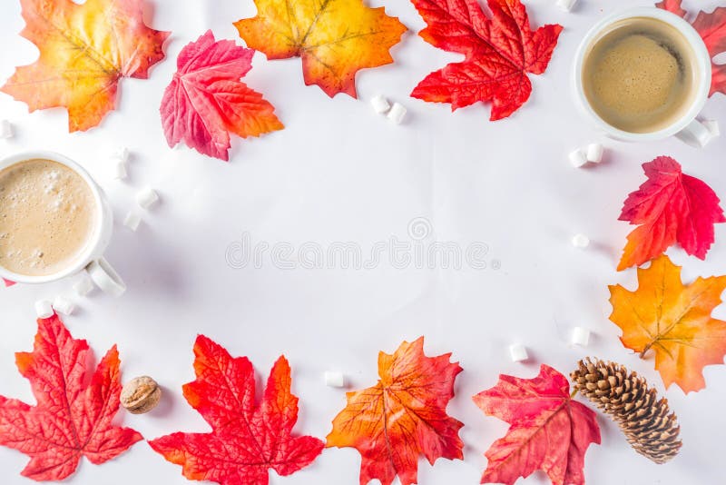 Autumn Flatlay with Cappuccino or hot chocolate. Autumn composition concept background. Cappuccino coffee or hot chocolate cup, with autumn bright leaves, pine royalty free stock photos Autumn Flatlay with Cappuccino or hot chocolate. Autumn composition concept background. Cappuccino coffee or hot chocolate cup, with autumn bright leaves, pine royalty free stock photos