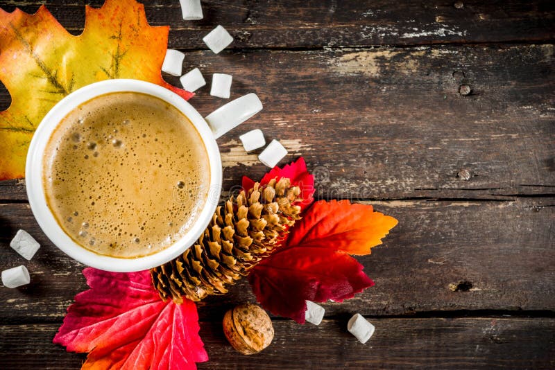 Autumn Flatlay with Cappuccino or hot chocolate. Autumn composition concept background. Cappuccino coffee or hot chocolate cup, with autumn bright leaves, pine stock photos Autumn Flatlay with Cappuccino or hot chocolate. Autumn composition concept background. Cappuccino coffee or hot chocolate cup, with autumn bright leaves, pine stock photos